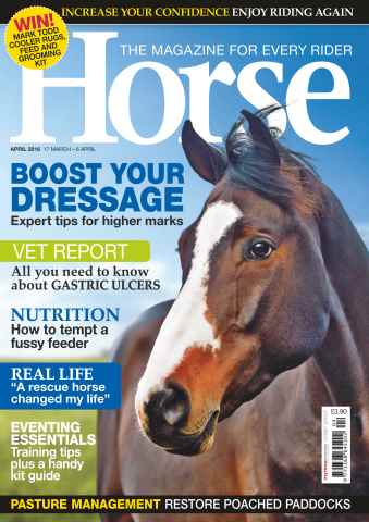 Horse issue April 2016