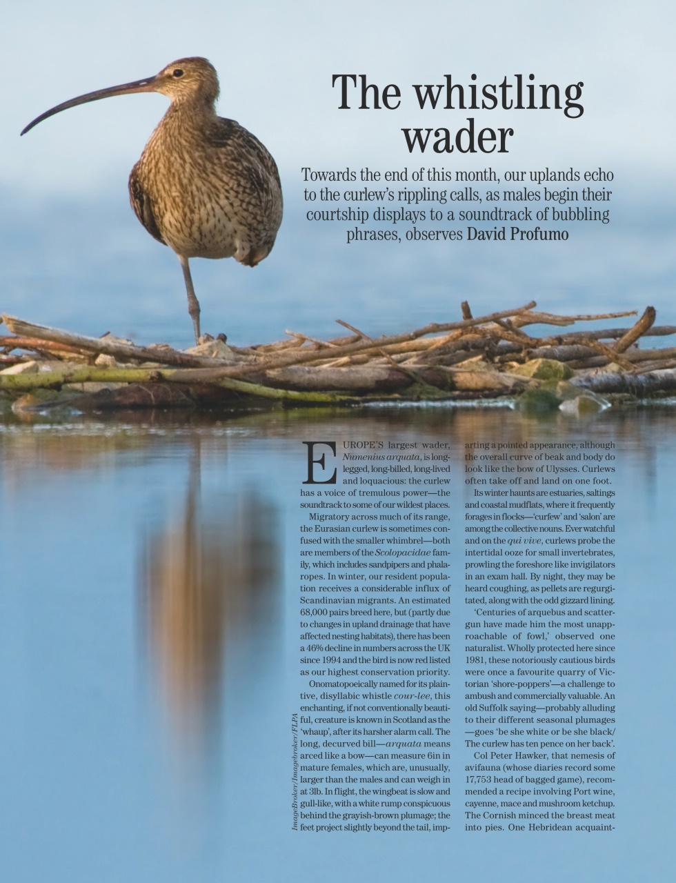 Country Life Preview Pages