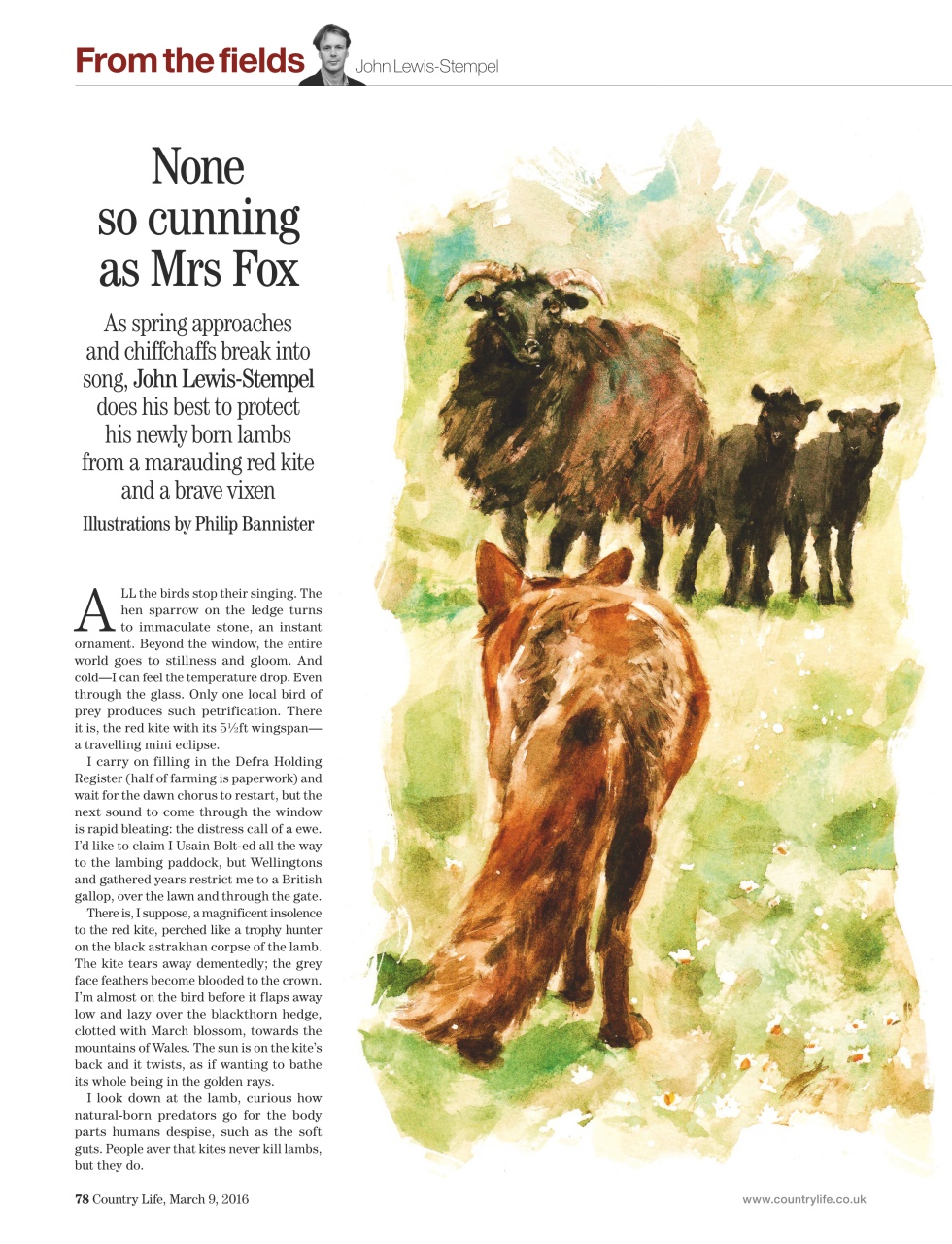 Country Life Preview Pages