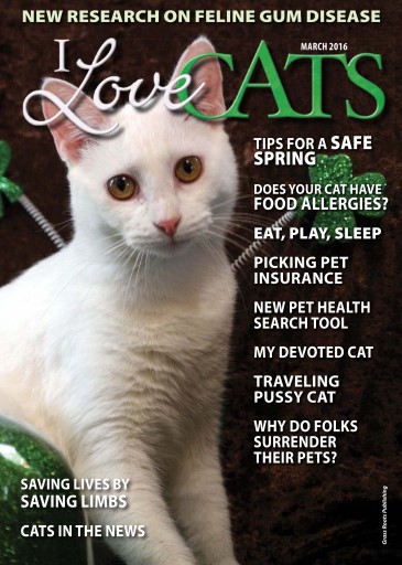 I Love Cats issue 