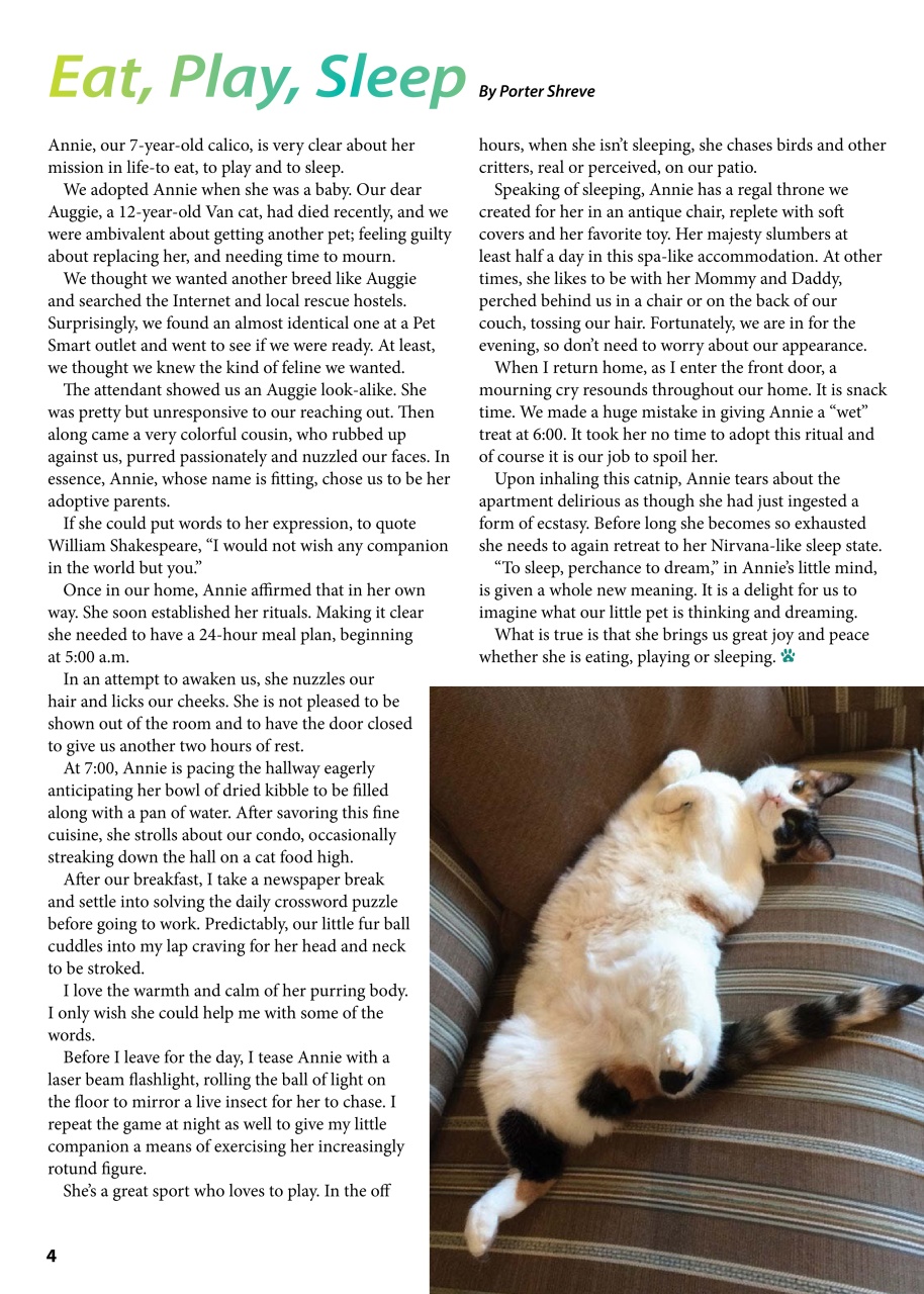 I Love Cats Preview Pages