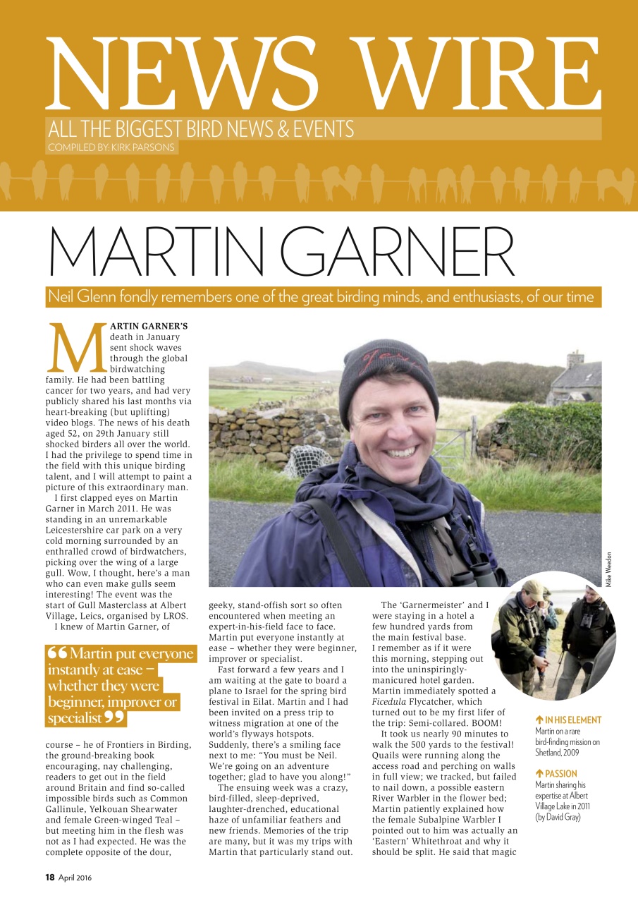 Bird Watching Preview Pages