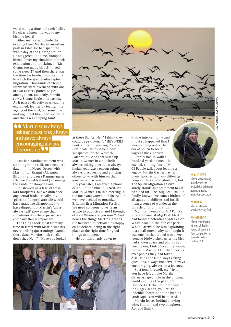 Bird Watching Preview Pages