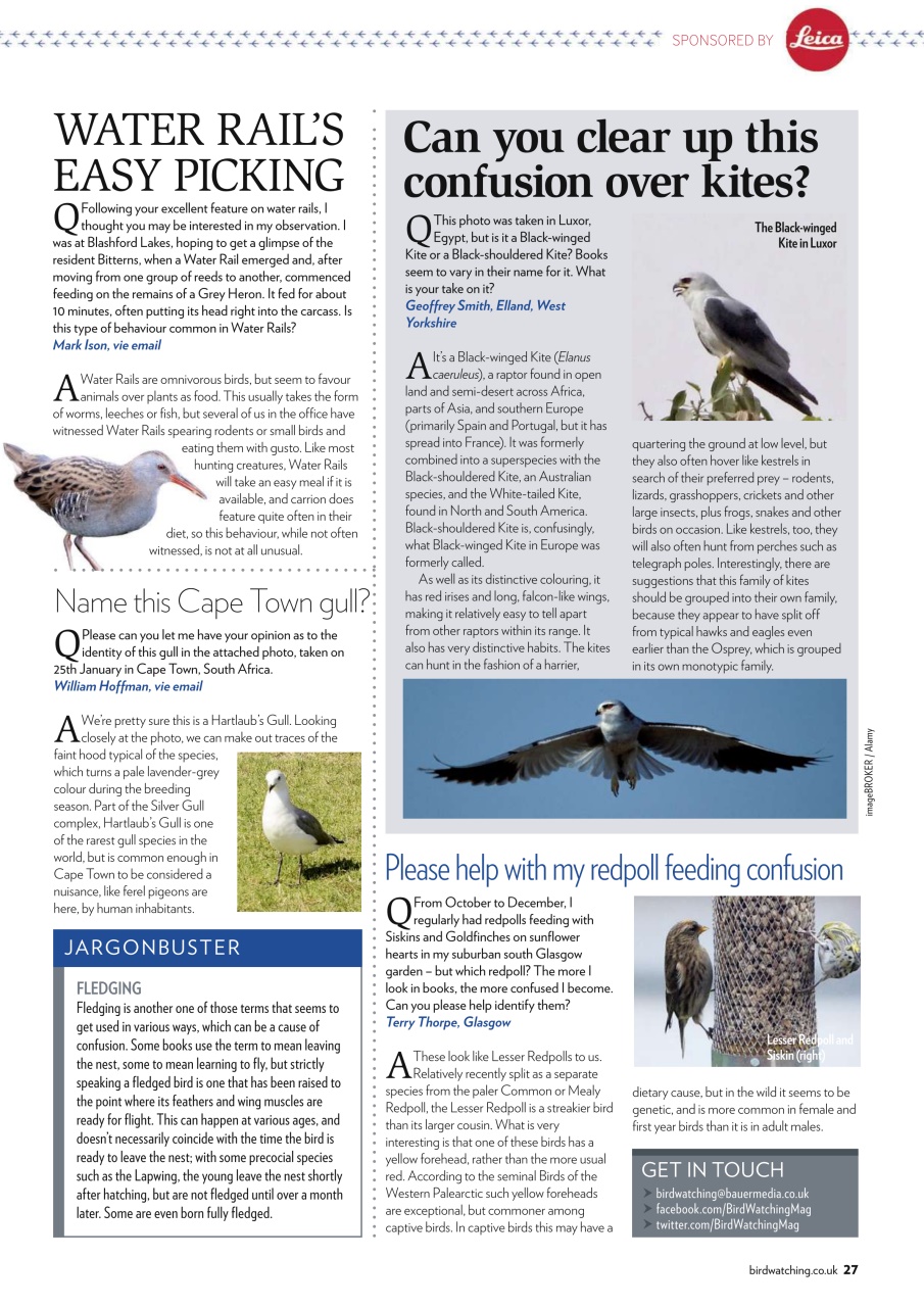 Bird Watching Preview Pages