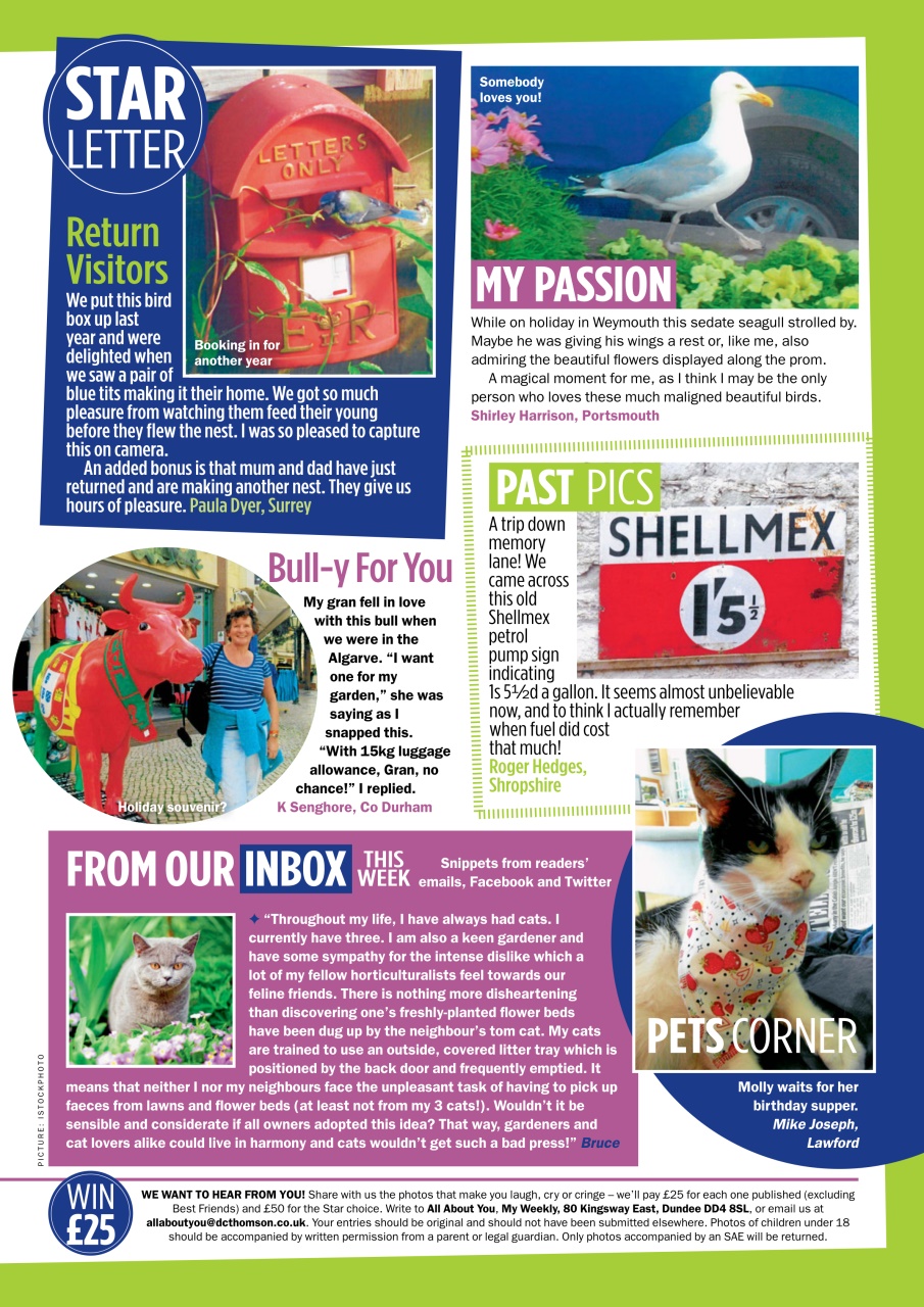 My Weekly Preview Pages