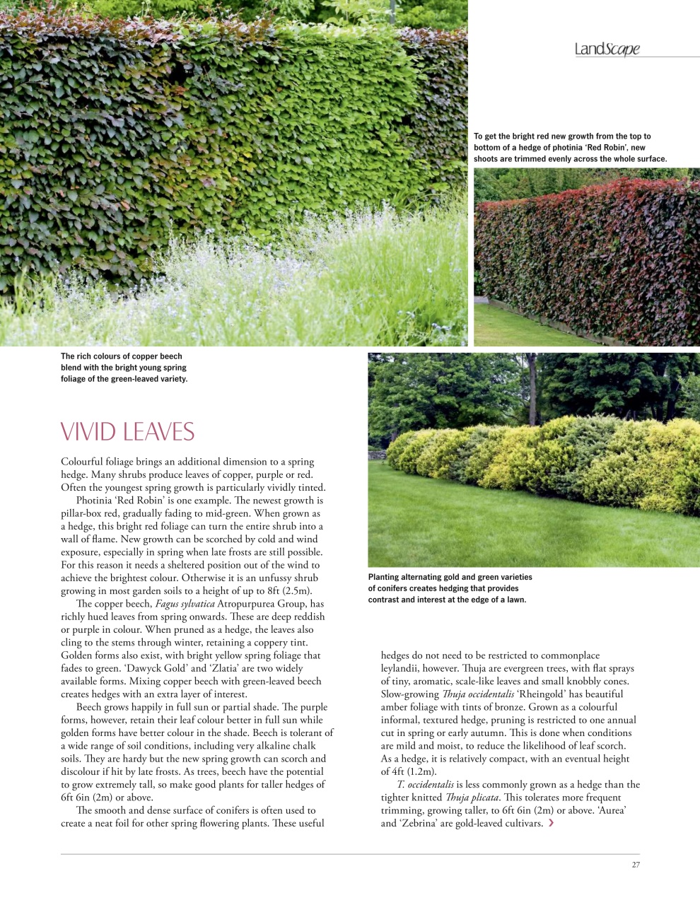 LandScape Preview Pages