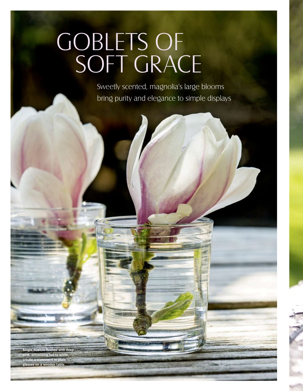 LandScape Preview Pages