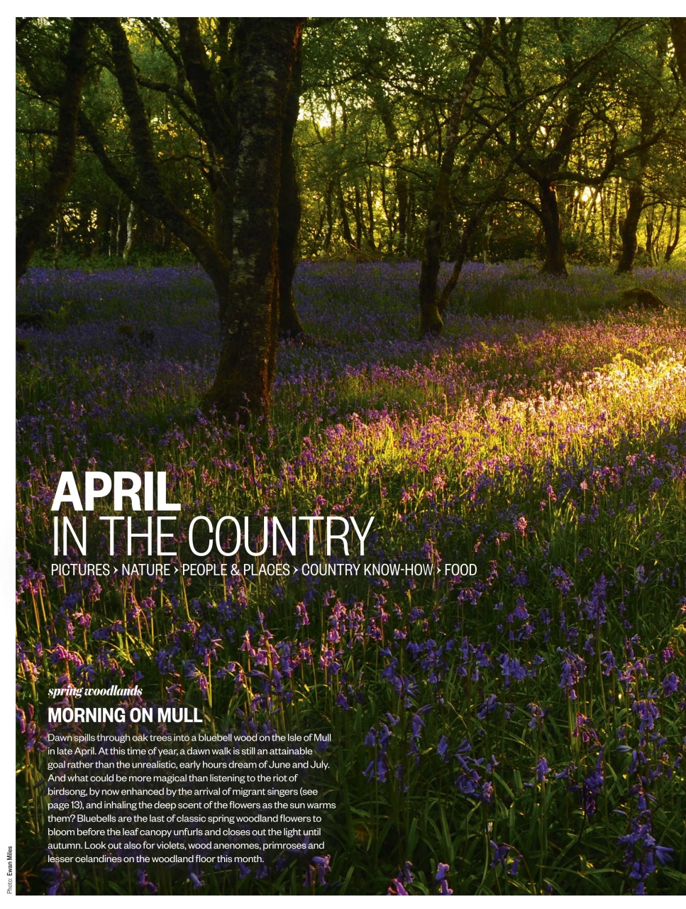 BBC Countryfile Magazine Preview Pages