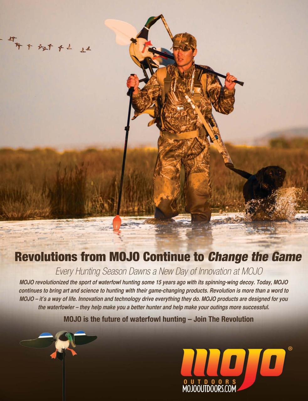 American Waterfowler Preview Pages