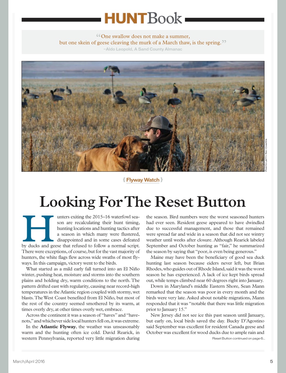 American Waterfowler Preview Pages