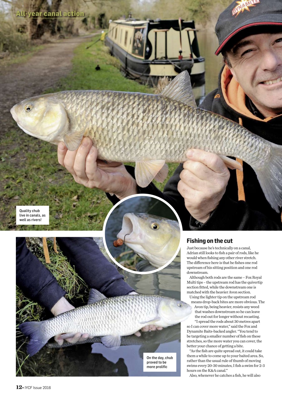 Improve Your Coarse Fishing Preview Pages
