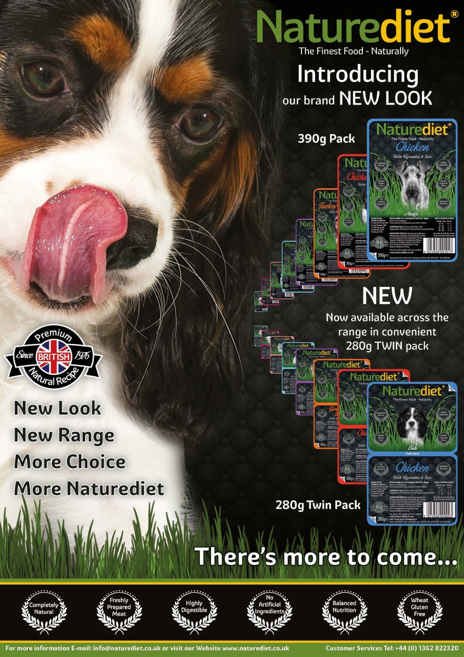 Dogs Today Magazine Preview Pages