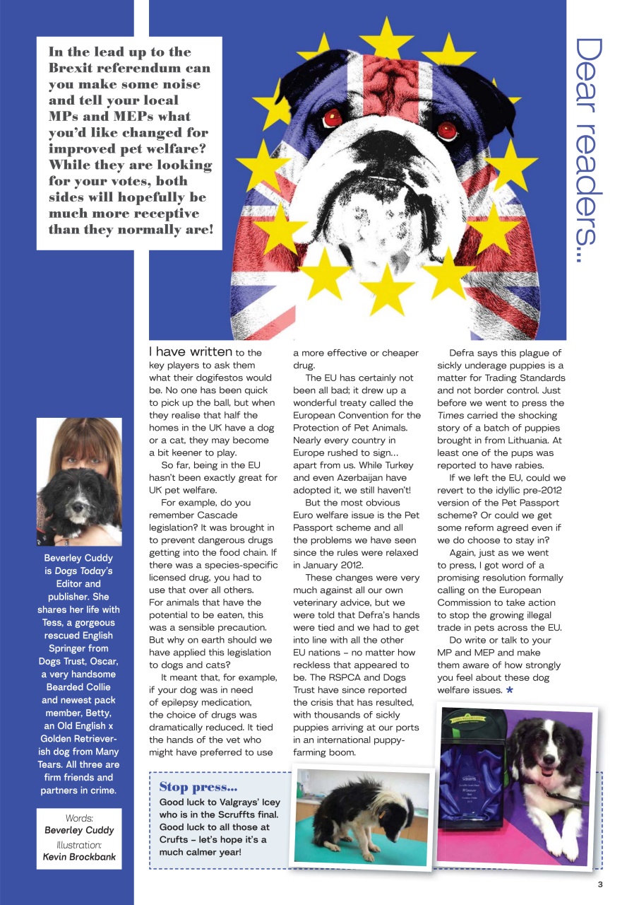 Dogs Today Magazine Preview Pages