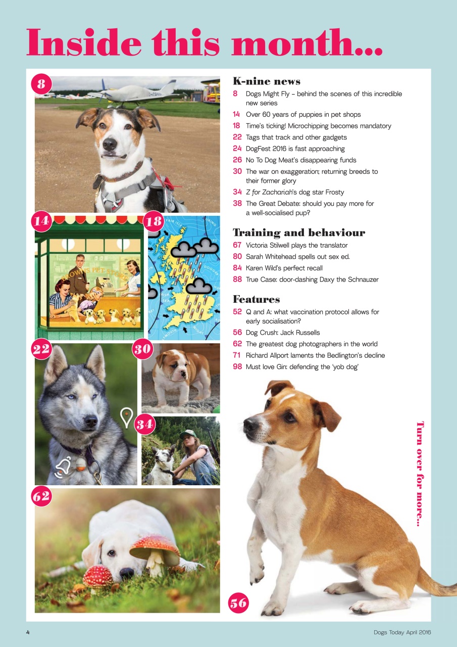 Dogs Today Magazine Preview Pages
