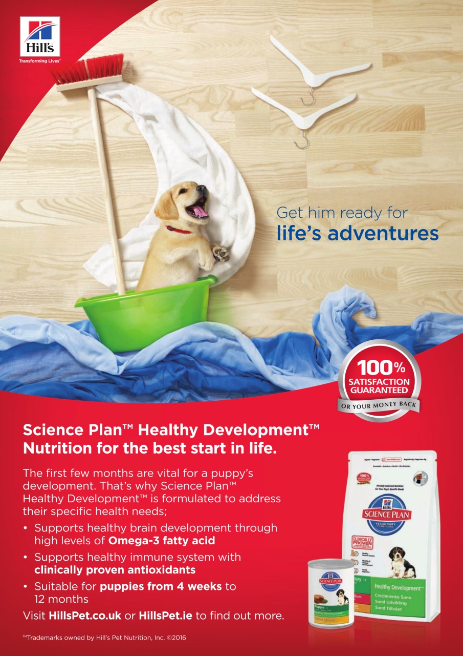 Dogs Today Magazine Preview Pages