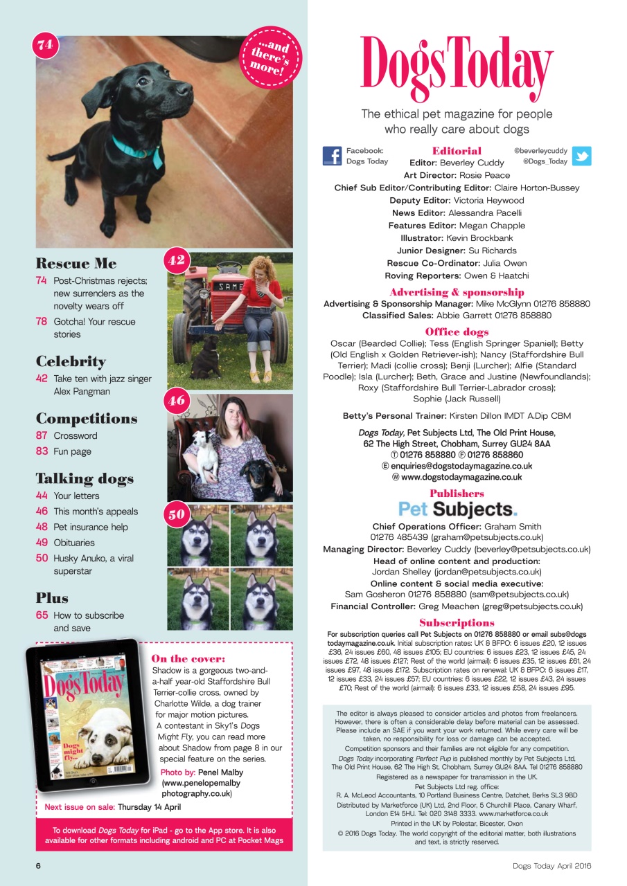 Dogs Today Magazine Preview Pages