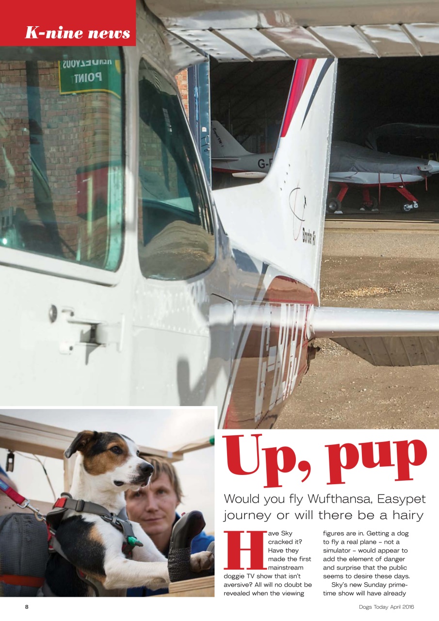 Dogs Today Magazine Preview Pages