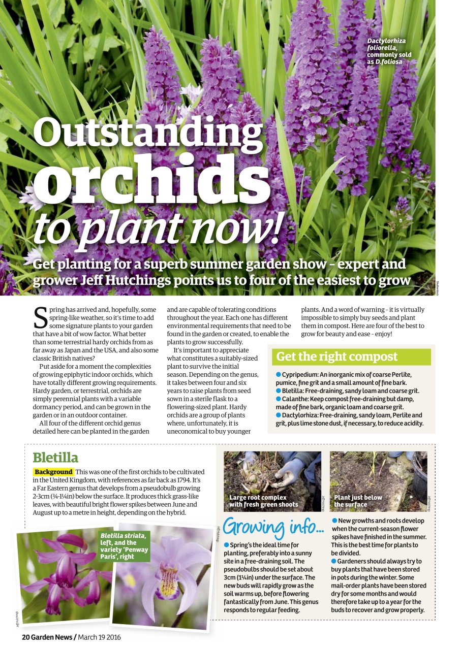 Garden News Preview Pages
