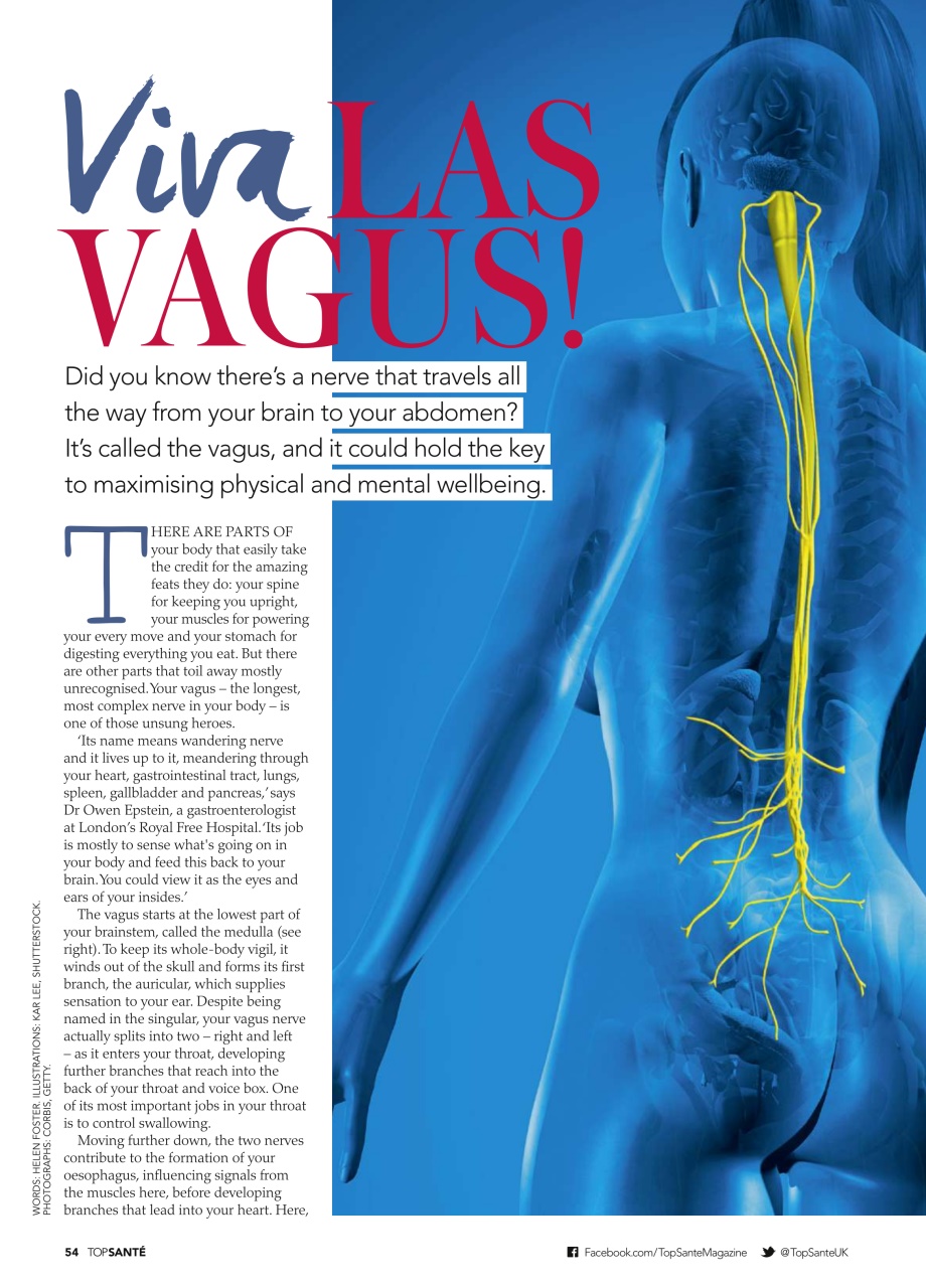 Top Sante Preview Pages