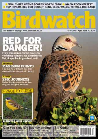 Birdwatch Magazine issue April 2016