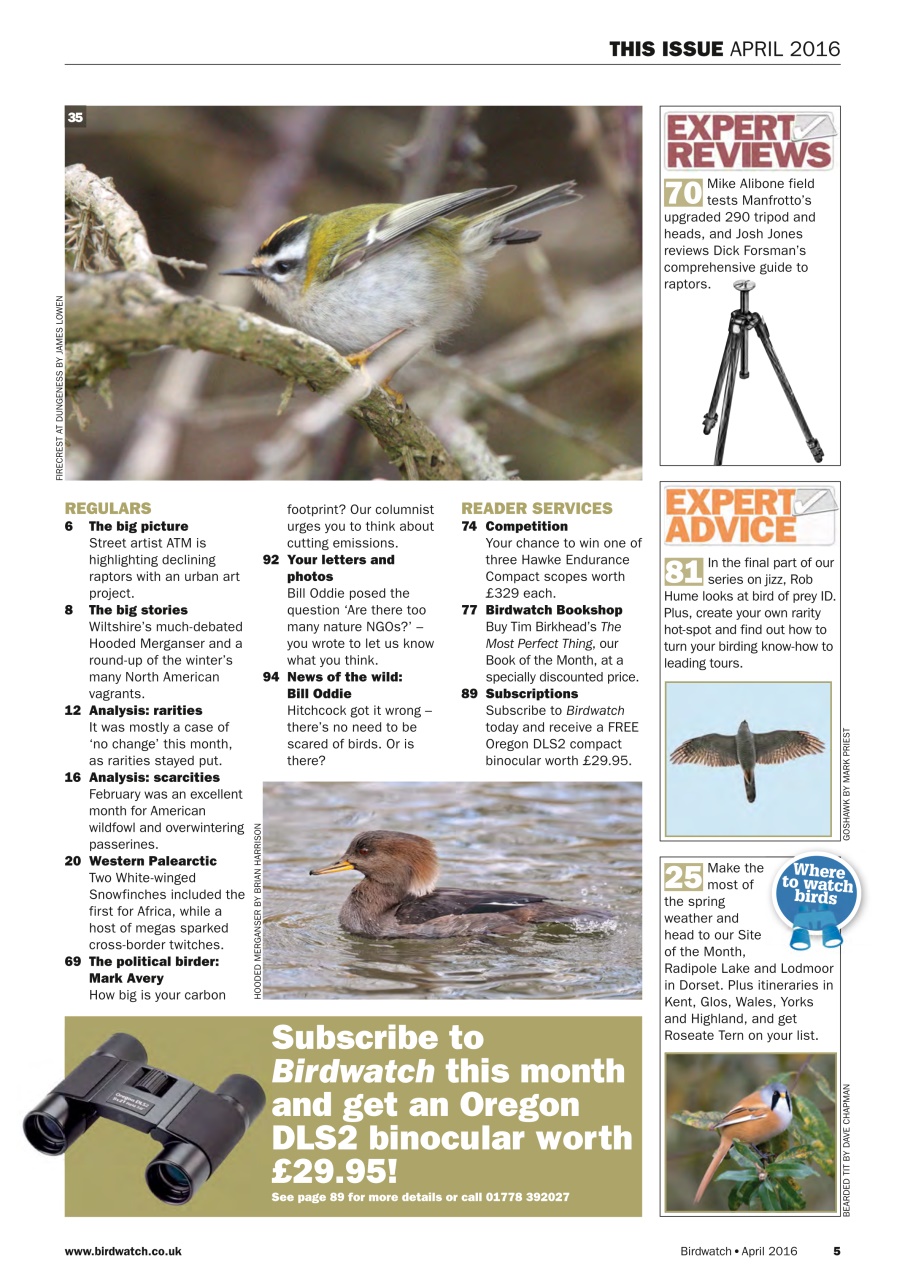 Birdwatch Magazine Preview Pages
