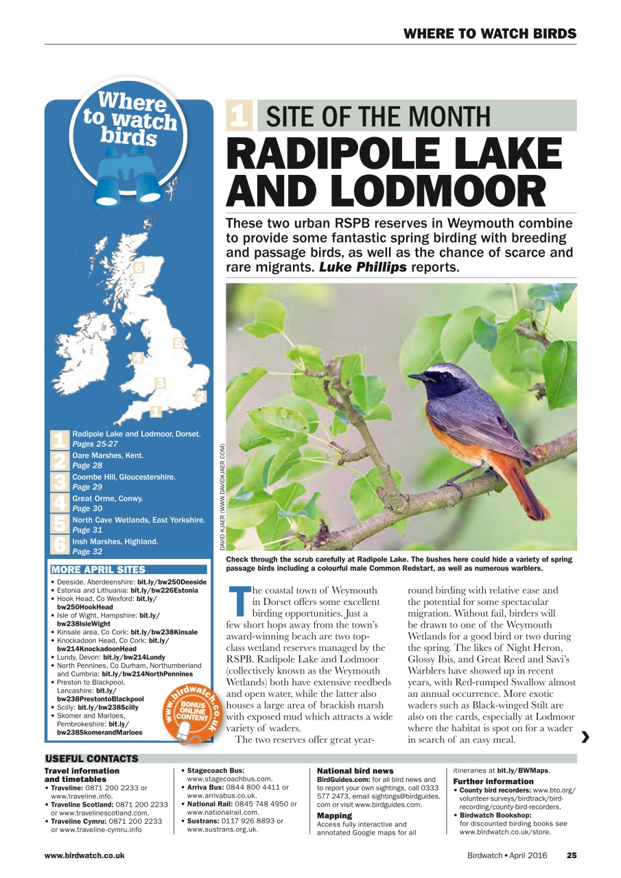 Birdwatch Magazine Preview Pages