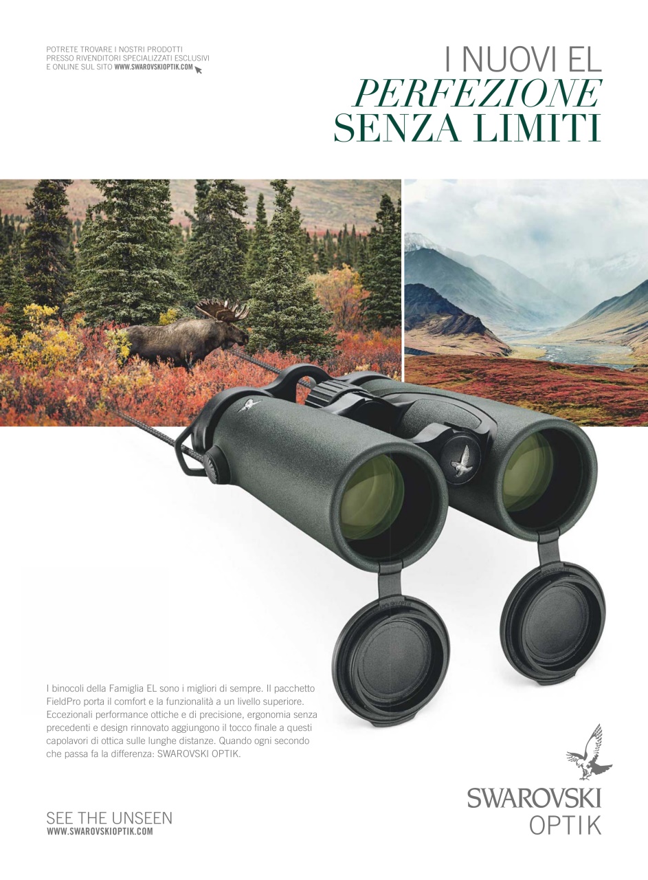 Caccia Magazine Preview Pages