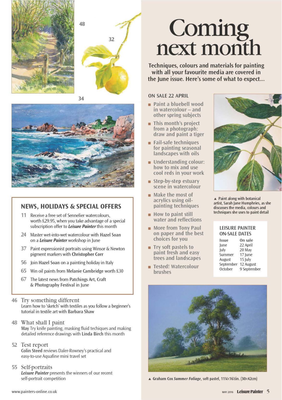 Leisure Painter & The Artist Preview Pages