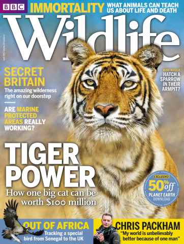 BBC Wildlife Magazine issue April 2016