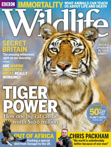 BBC Wildlife Magazine issue 