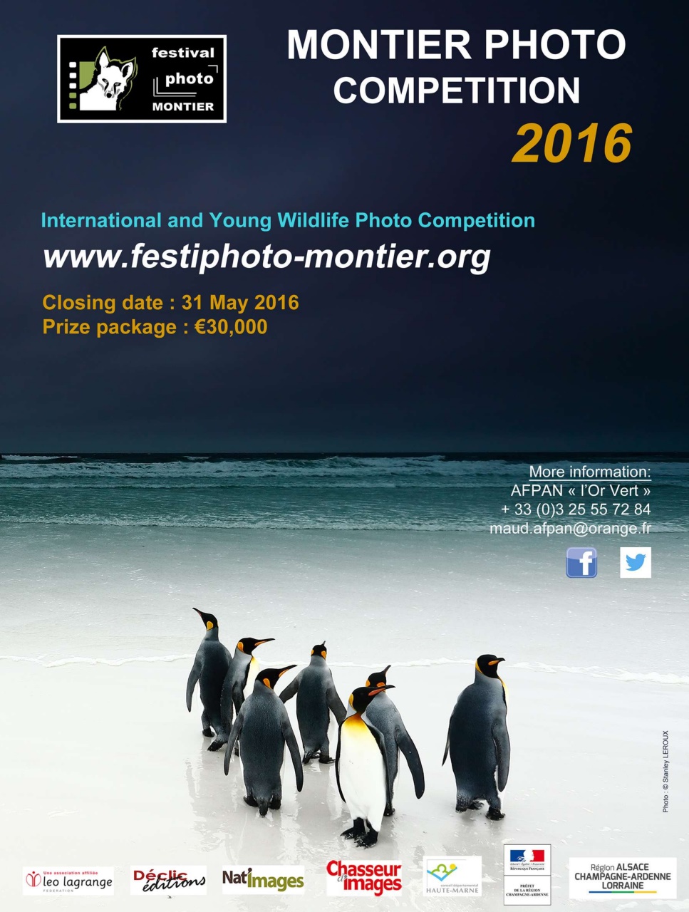 BBC Wildlife Magazine Preview Pages