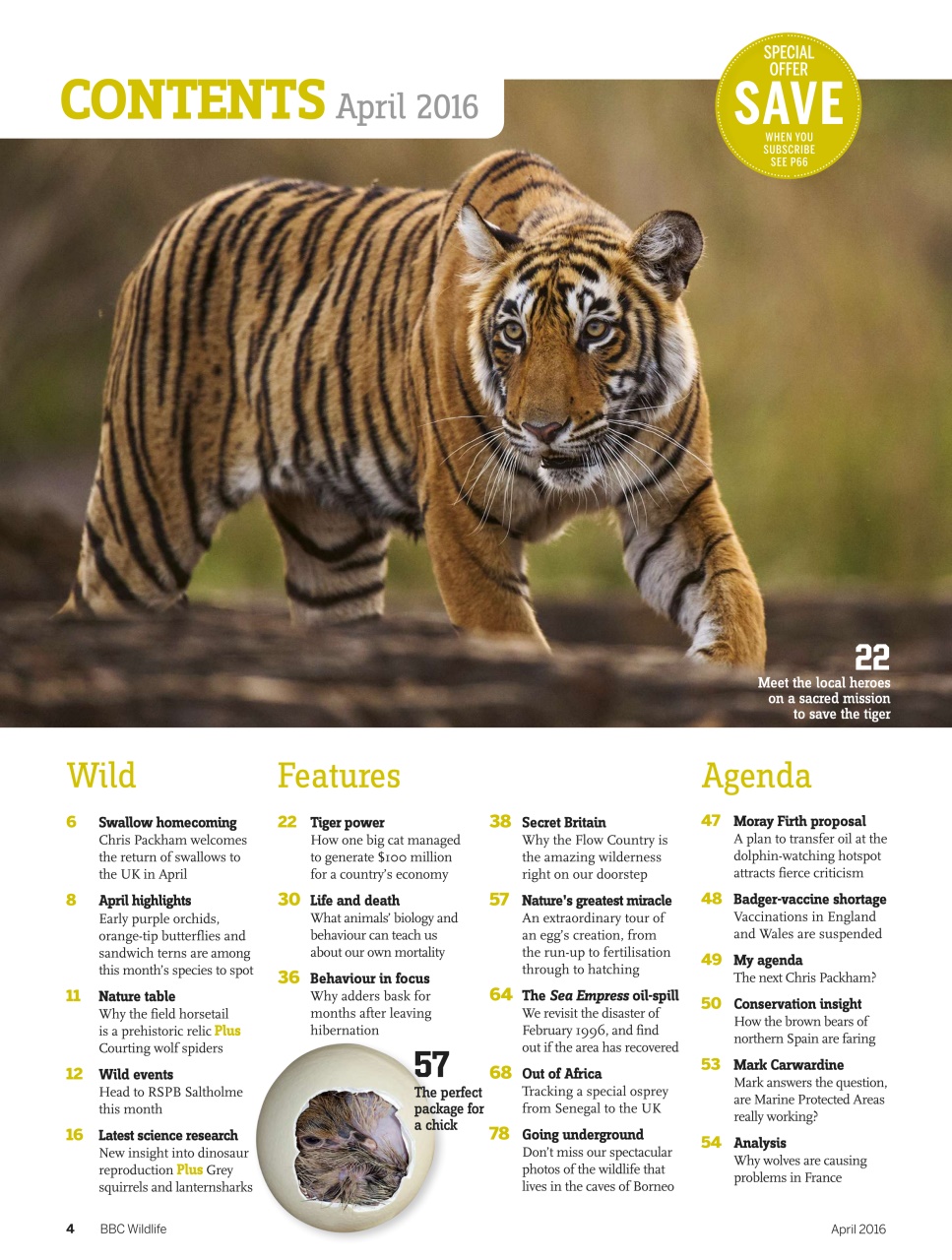 BBC Wildlife Magazine Preview Pages