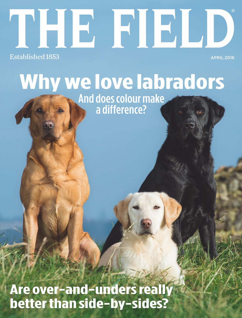 The Field Preview Pages