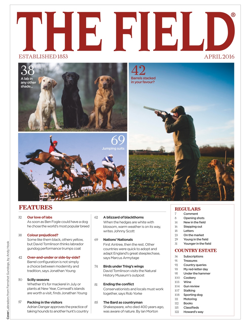 The Field Preview Pages