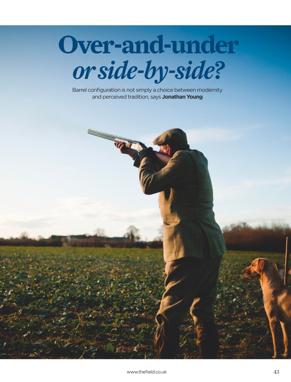 The Field Preview Pages