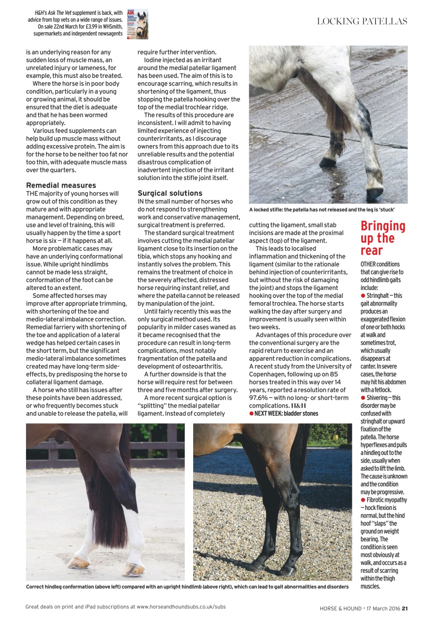 Horse & Hound Preview Pages