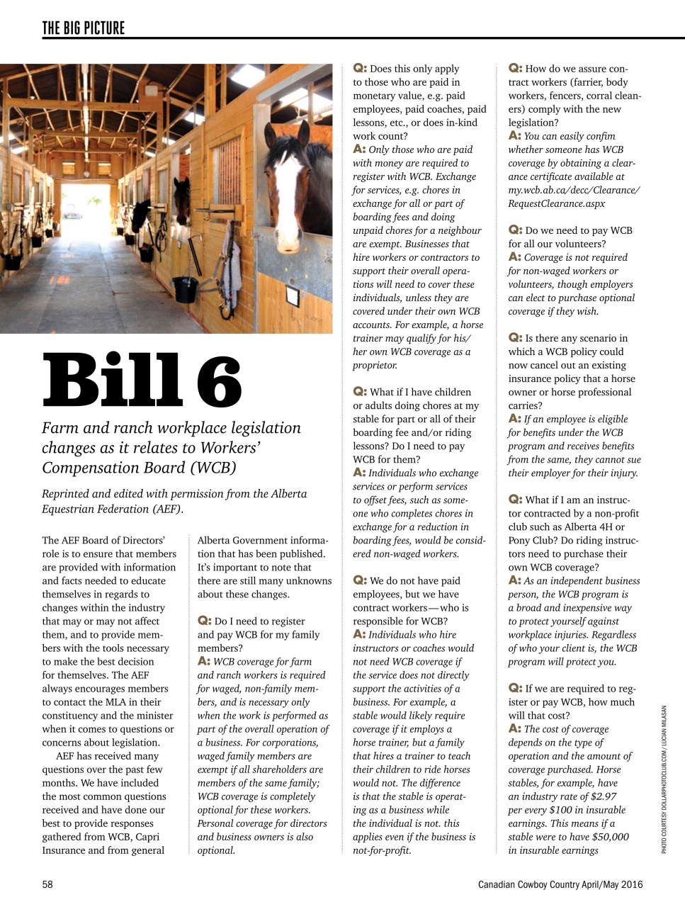 Canadian Cowboy Country Preview Pages