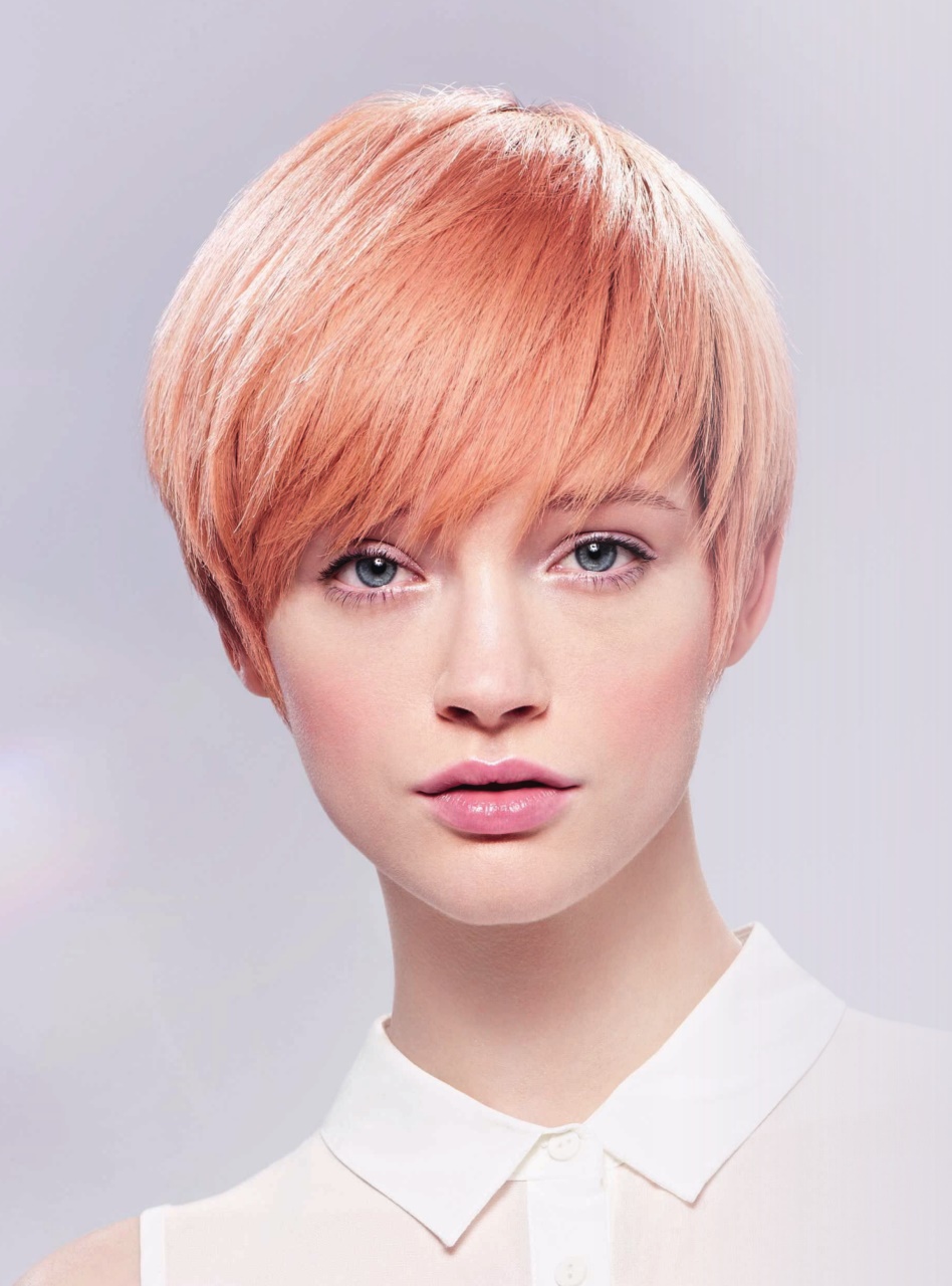 Hairdressers Journal Preview Pages