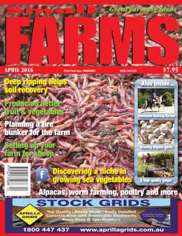 Small Farms issue 