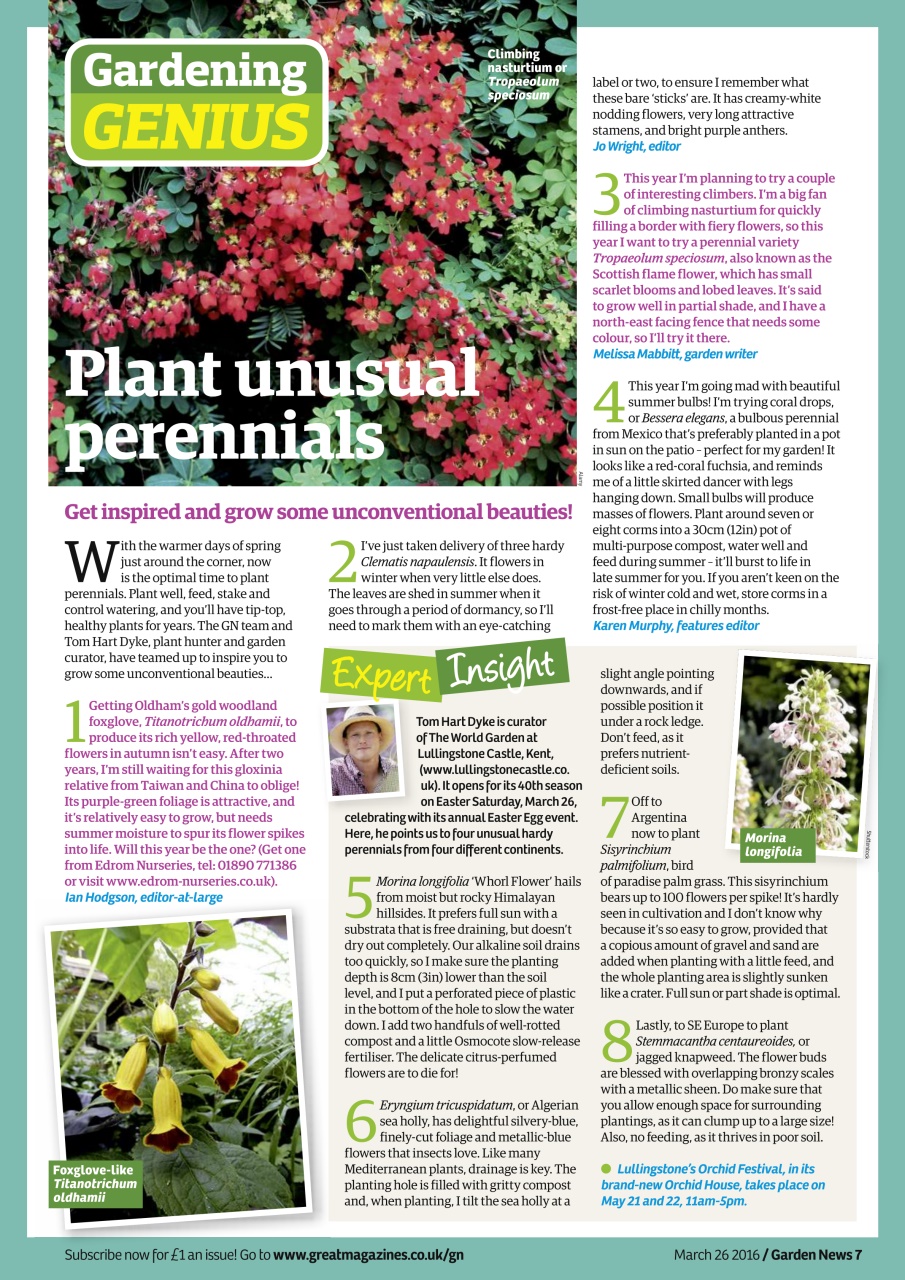 Garden News Preview Pages
