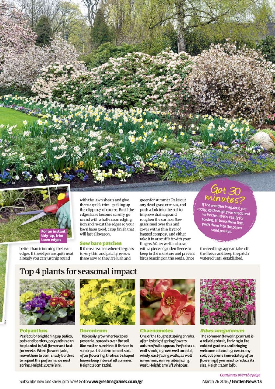Garden News Preview Pages