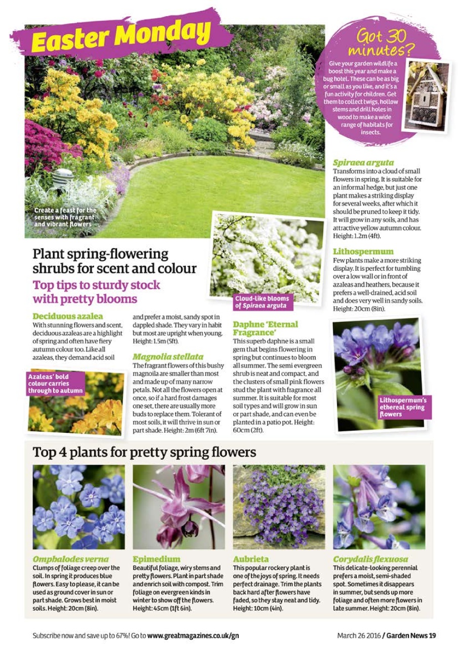Garden News Preview Pages
