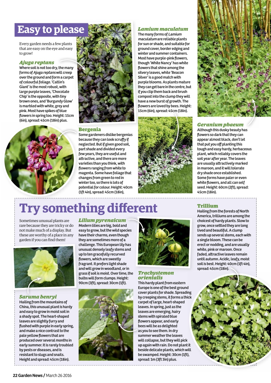 Garden News Preview Pages