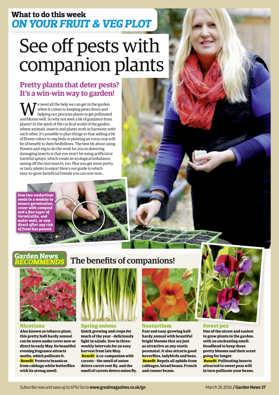 Garden News Preview Pages