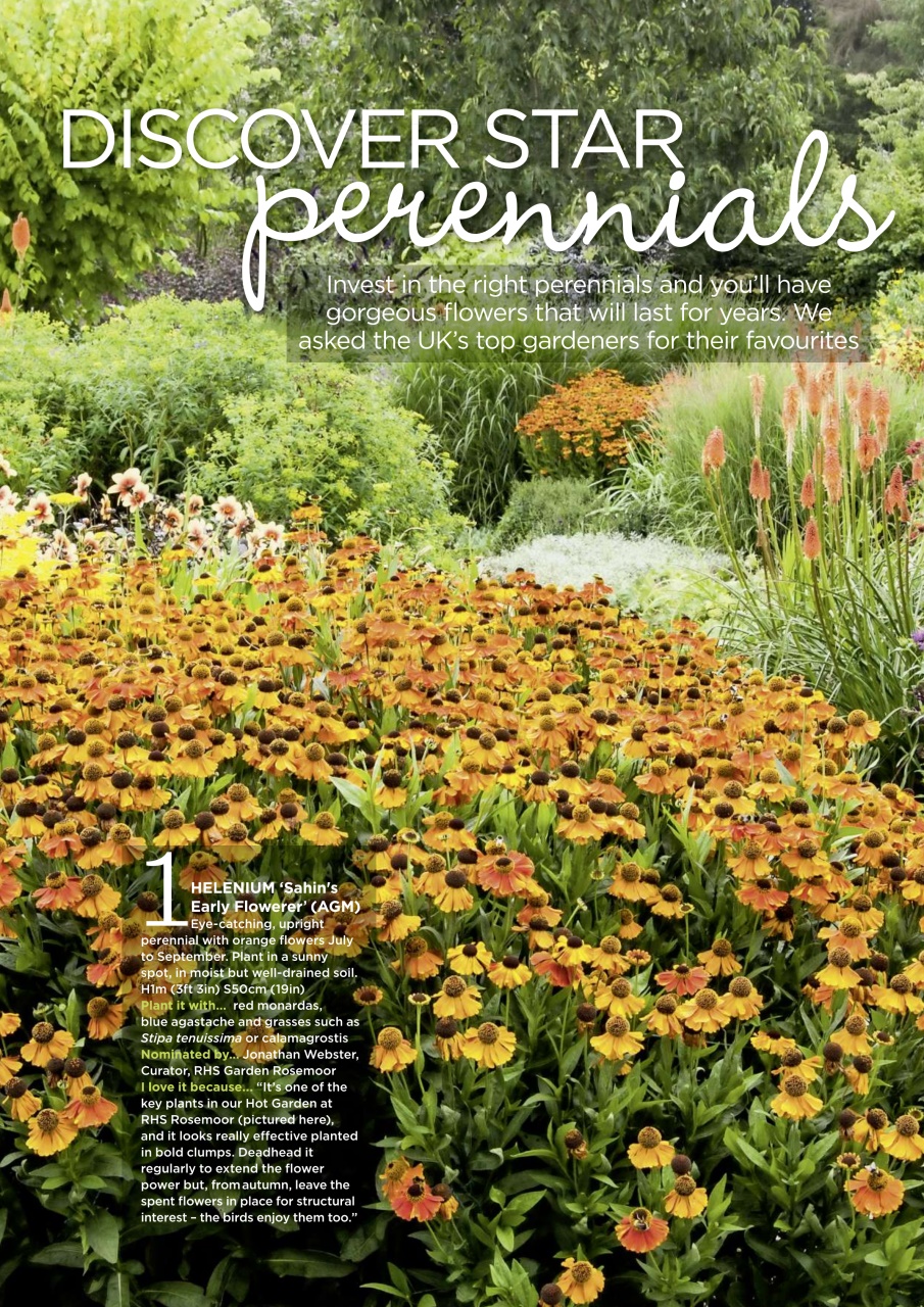 Garden Answers Preview Pages