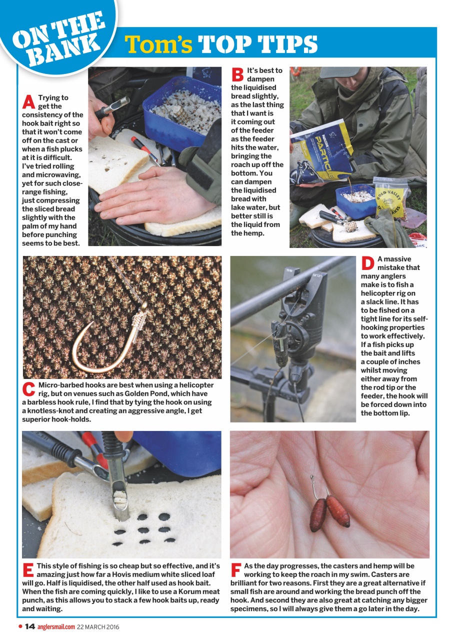 Anglers Mail Preview Pages