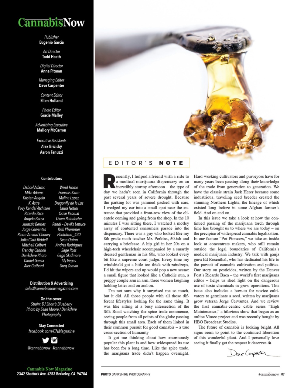 Cannabis Now Preview Pages