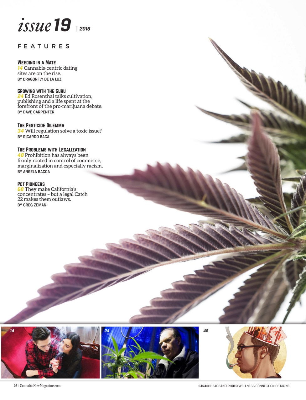Cannabis Now Preview Pages