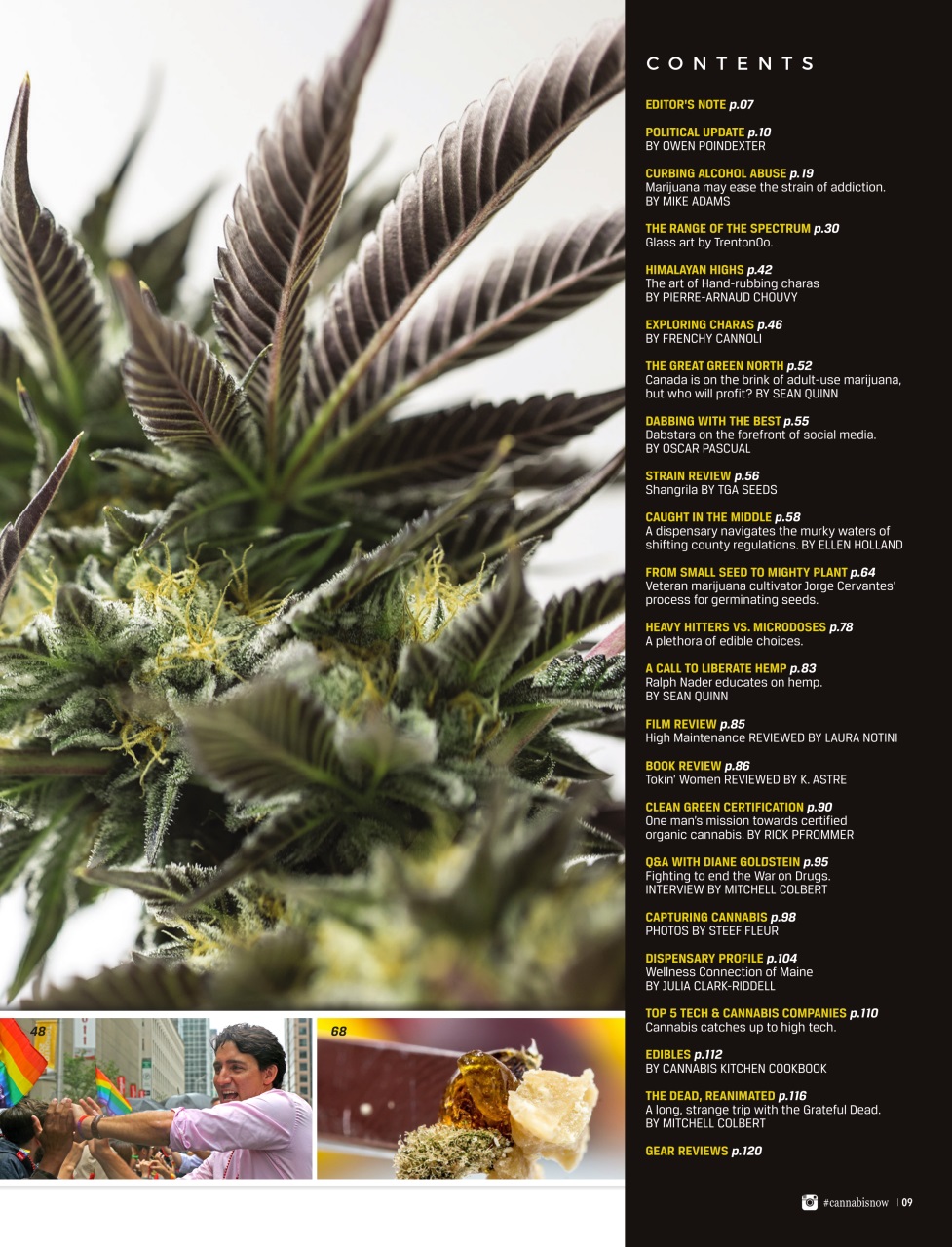 Cannabis Now Preview Pages