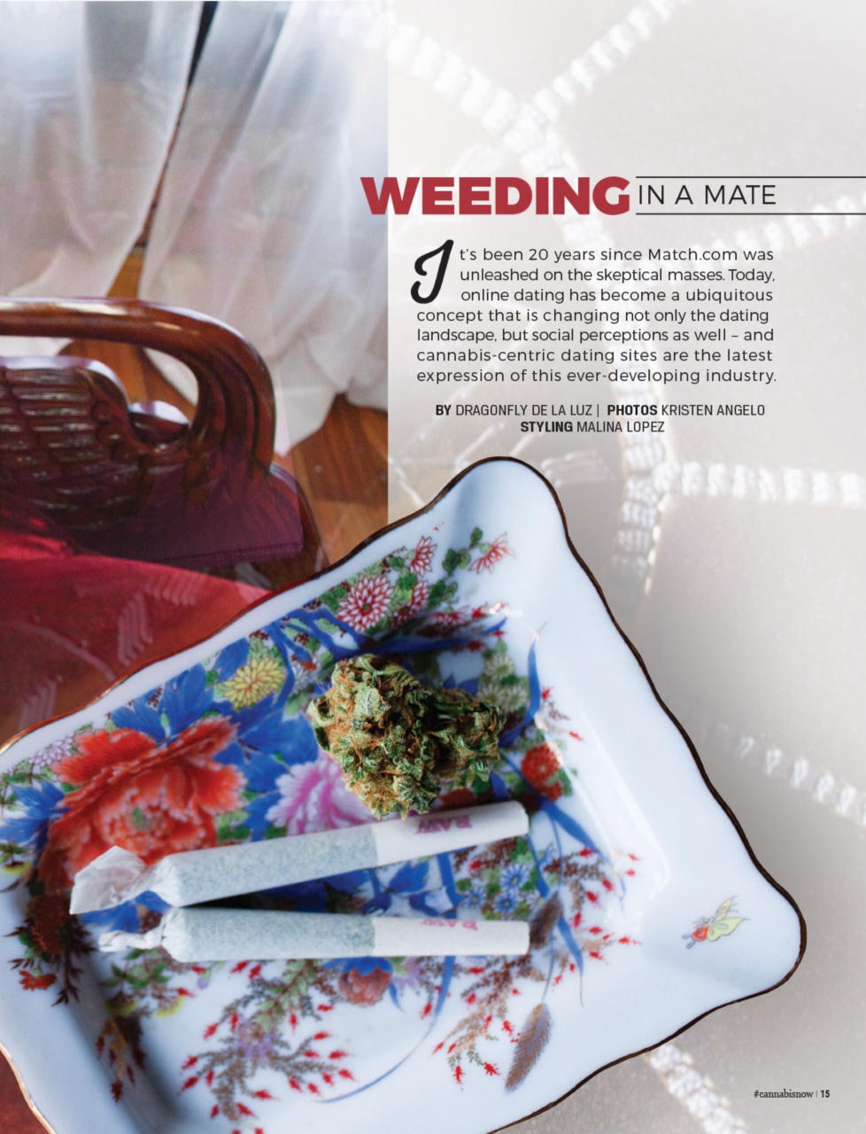 Cannabis Now Preview Pages